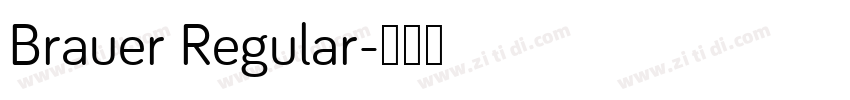 Brauer Regular字体转换